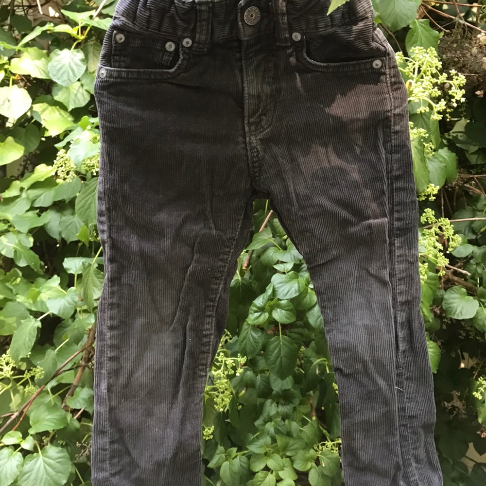 Gap dark gray corduroy 3T